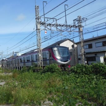 2025年6月21日 夏至…(＾▽＾)/　3代目の京王線サンリオ電車～♪