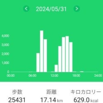 円山に登りました（28回目）