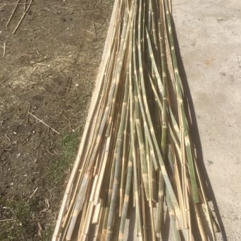 竹で作れるって🎵