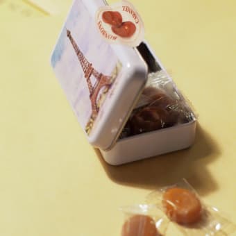 20120625　家でぼちぼち活動開始