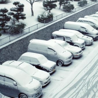 箕面は今朝も雪