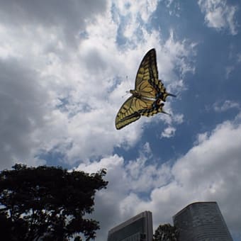 秋空・・