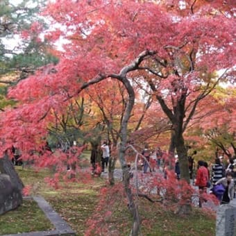 秋色の京都