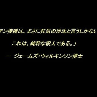 すべてが政府やマスコミや医療研究機関によって、でっち上げられていた新型・豚インフルエンザ事件