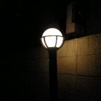 早稲田周辺街灯（2）
