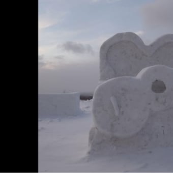 市民雪像ゆきまつりinだんパラ2日目(1)