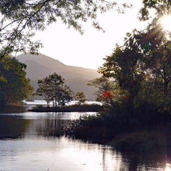 陽が昇り 水面照らすや 秋の湖(うみ)　　　【小野川湖】