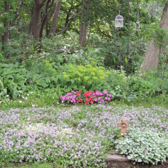 やさしい声をかけられた植物は良く育つか？