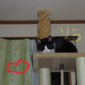 ソラの～☆