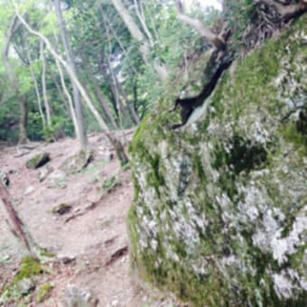 雌穴と雌穴が ガッチンコ！