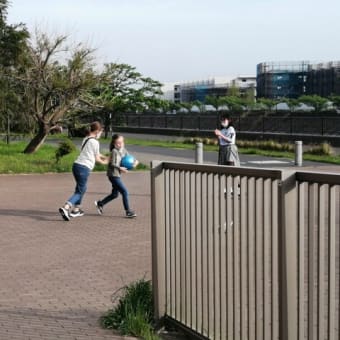 浦安沖海岸を散歩しました。