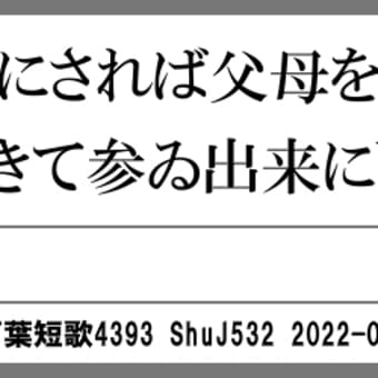 万葉短歌4393　大君の4067