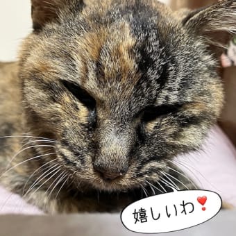 だるい・・・。