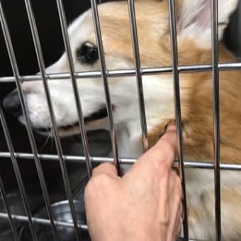 揺れる想い