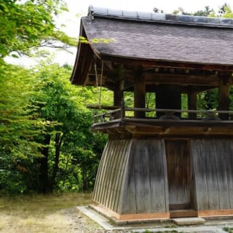 京都　青モミジ100シリーズの「血天井」の正伝寺