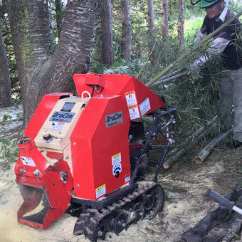 放置竹林を出張作業で整備することに‼