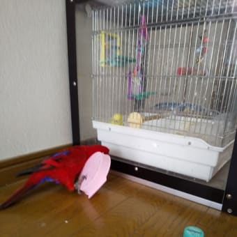 みんな元気に過ごせました