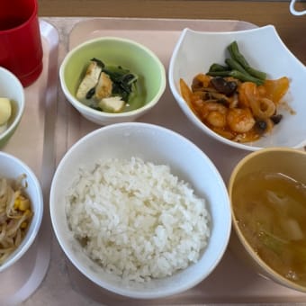 入院日記　5月11日