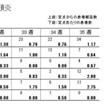 1定点医療機関当たり新型コロナ新規感染者数(67)＜手足口病・マイコプラズマ肺炎＞