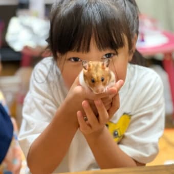 投資関連のお話し（米国ＥＴＦ回復中）