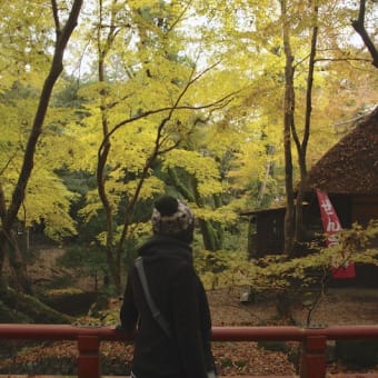 2012年11月24日　奈良公園散策　其の一