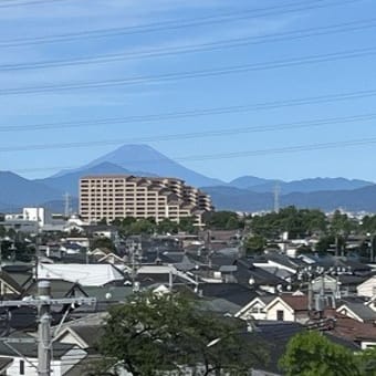 雪のない富士山～☆