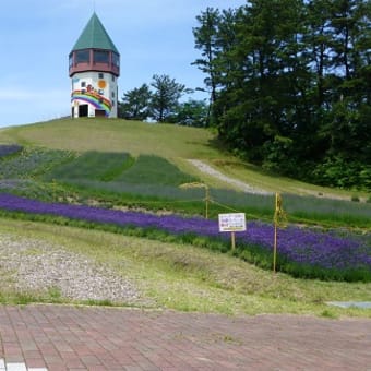 ポンポコ山ラベンダーまつり’14