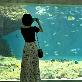 葛西臨海水族館