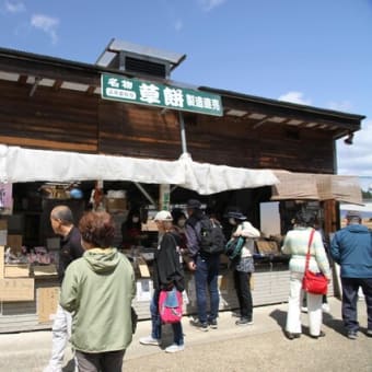 宇陀の又兵衛桜