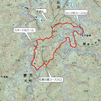 405      房総の山(清和県民の森・遊歩道)を歩くハイキング。　　('18,12,14)