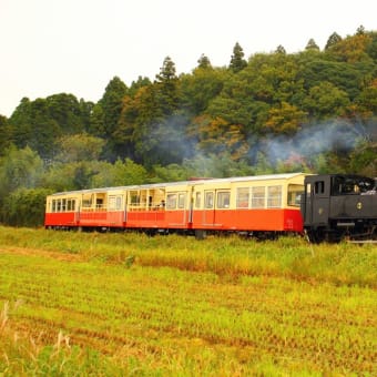 小湊鉄道里山トロッコ　公開試運転の写真