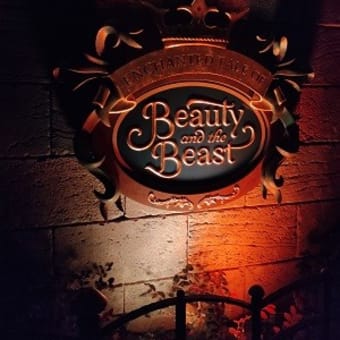 大晦日 ディズニーランド ★後編★