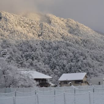 ＷＡＮ－ＷＡで雪遊び