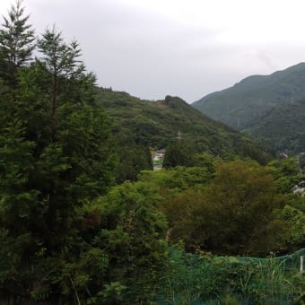 令和7年6月18日・今朝の東祖谷19℃（19.0℃）