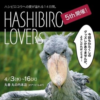 「Hashibiro Lovers 5th」参加のお知らせです♪