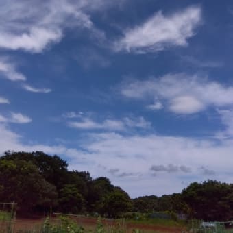 遠い海の記憶
