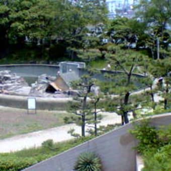 堺　街角　ミュージアム/公園探検/猿がいる公園/ 大浜公園