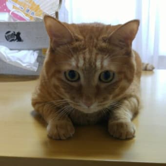 今さら？？