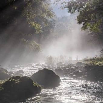 老いての油断は・・・・・。