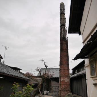 RENさん 栃木酒蔵コンサート