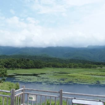 網走・知床へ行ってきました
