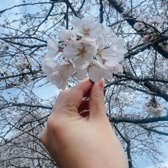 MALULUゆるリラDAY✨