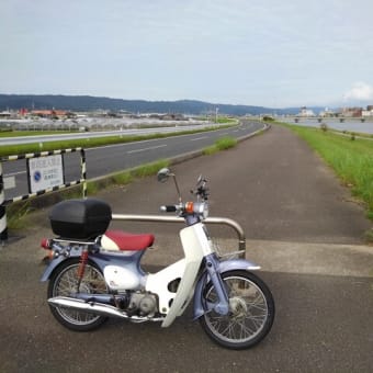 買っちゃいました　。。。