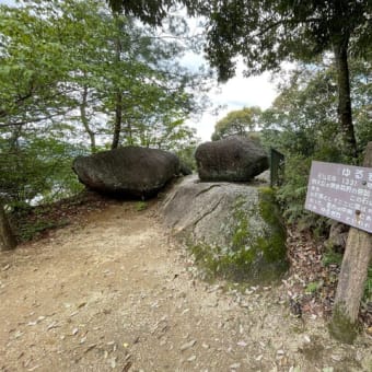 笠置山に登ってきました