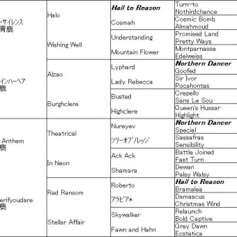 第66回宝塚記念回顧～今年も圧巻の逃げ切り、カナダ血脈のパワー巡行