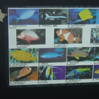 2016年8月19日　金曜日　竹富島