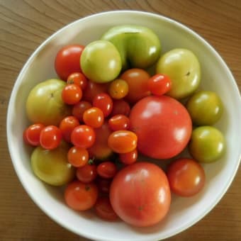 今年の作品　①白菜漬け　②冬トマト