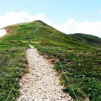 花の百名山 平標山
