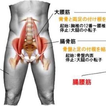 腸腰筋を鍛えて音楽のノリを掴む！