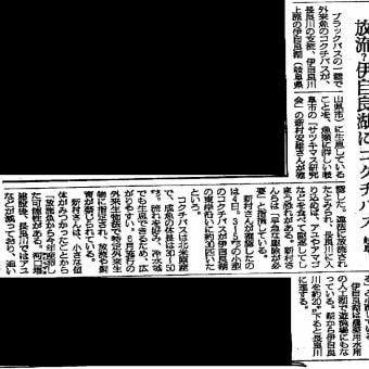 コクチバスが長良川水系に　朝日新聞１０月５日　夕刊